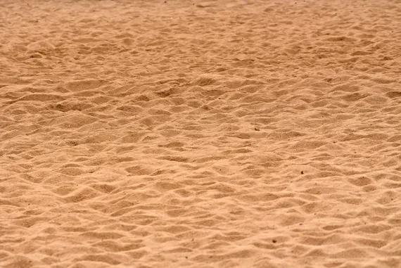 ビッグウィンズ カジノ サポート